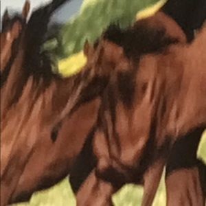 Meet your Posher, Roberto